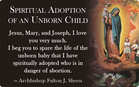 Pro Life - Spiritual Adoption of an Unborn Child